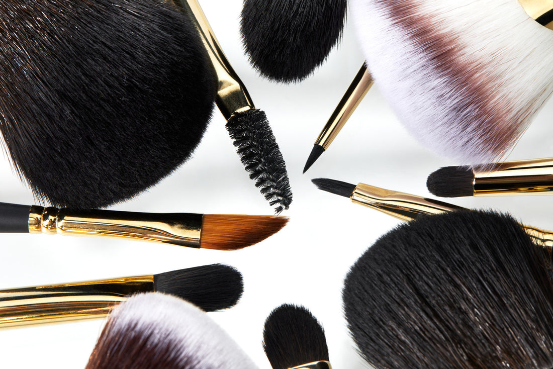 Brushes and Extras