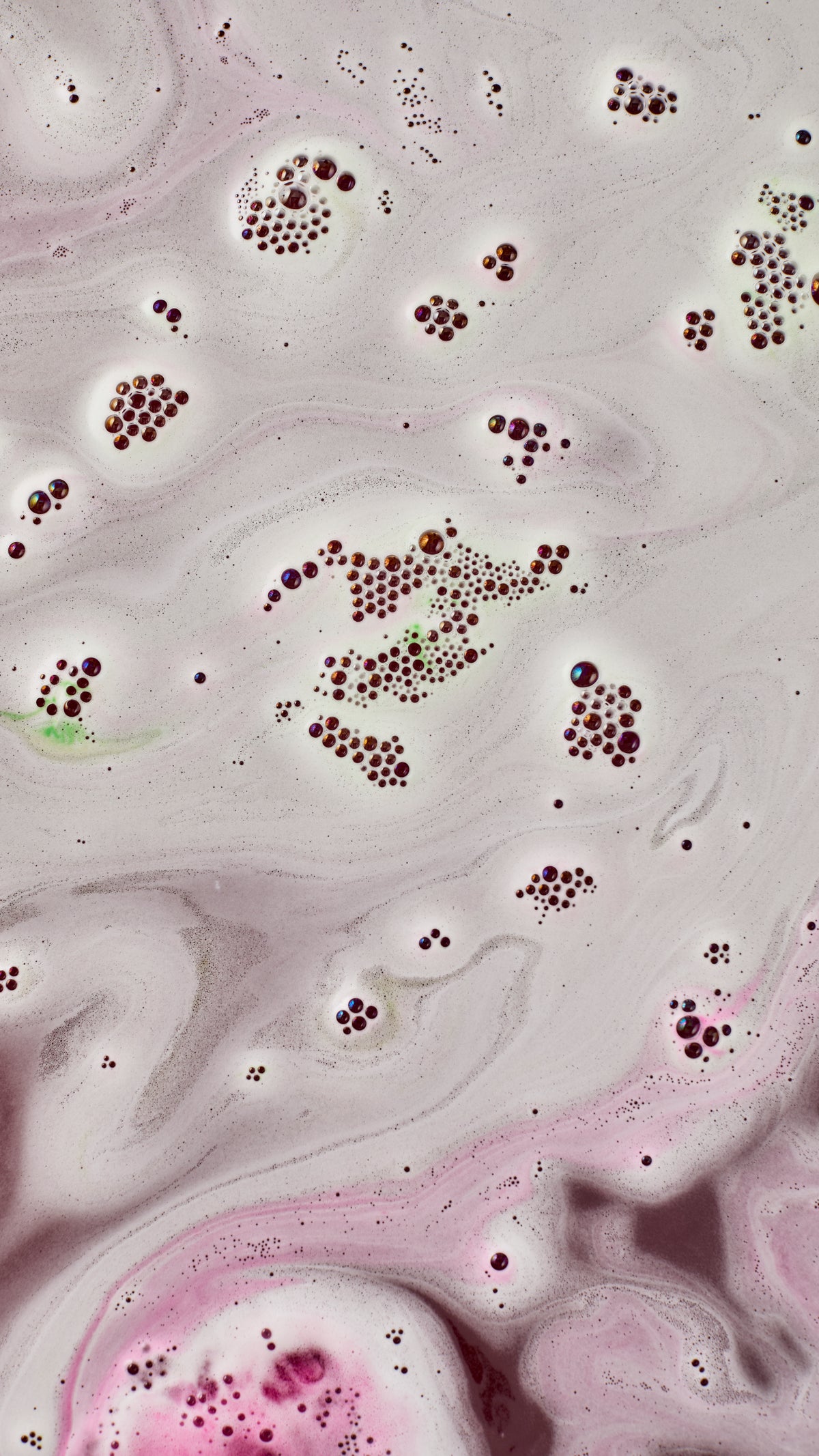 Lord Of Misrule