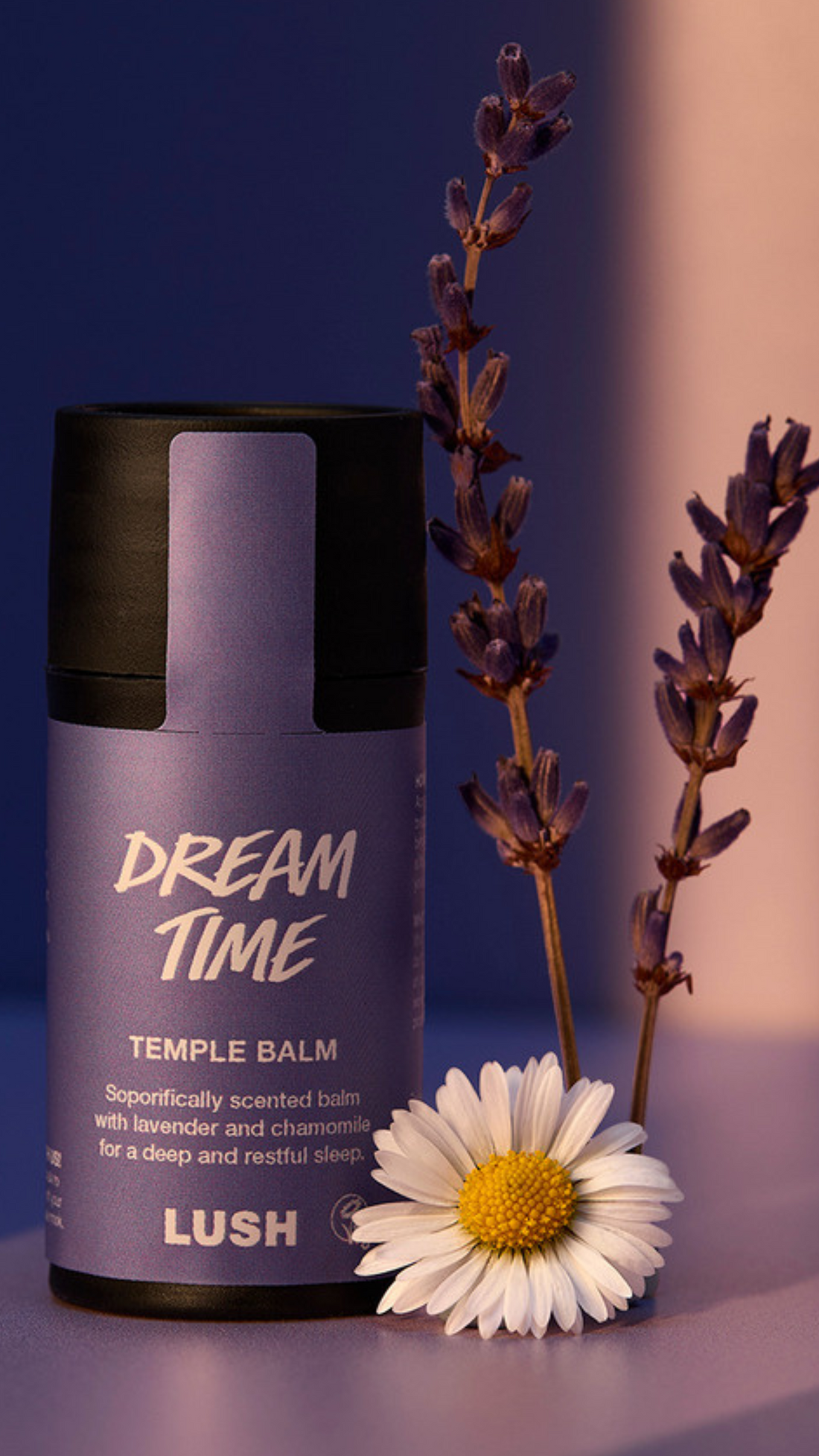 Dream Time