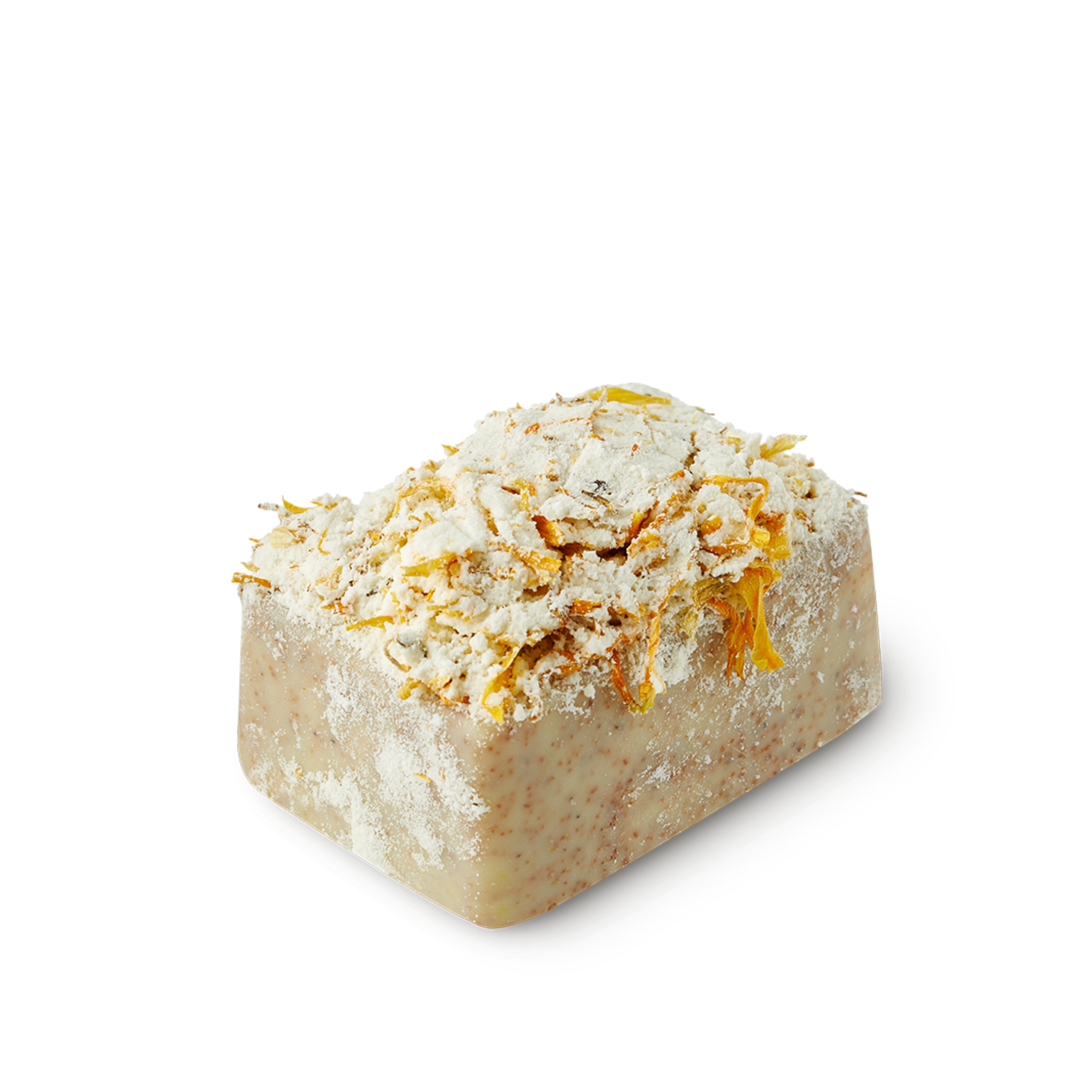 Aqua Mirablis Underwater