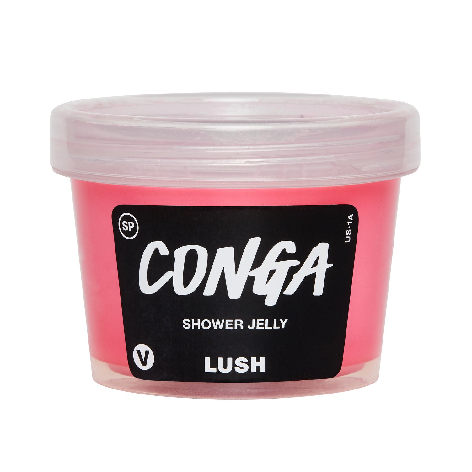 Conga