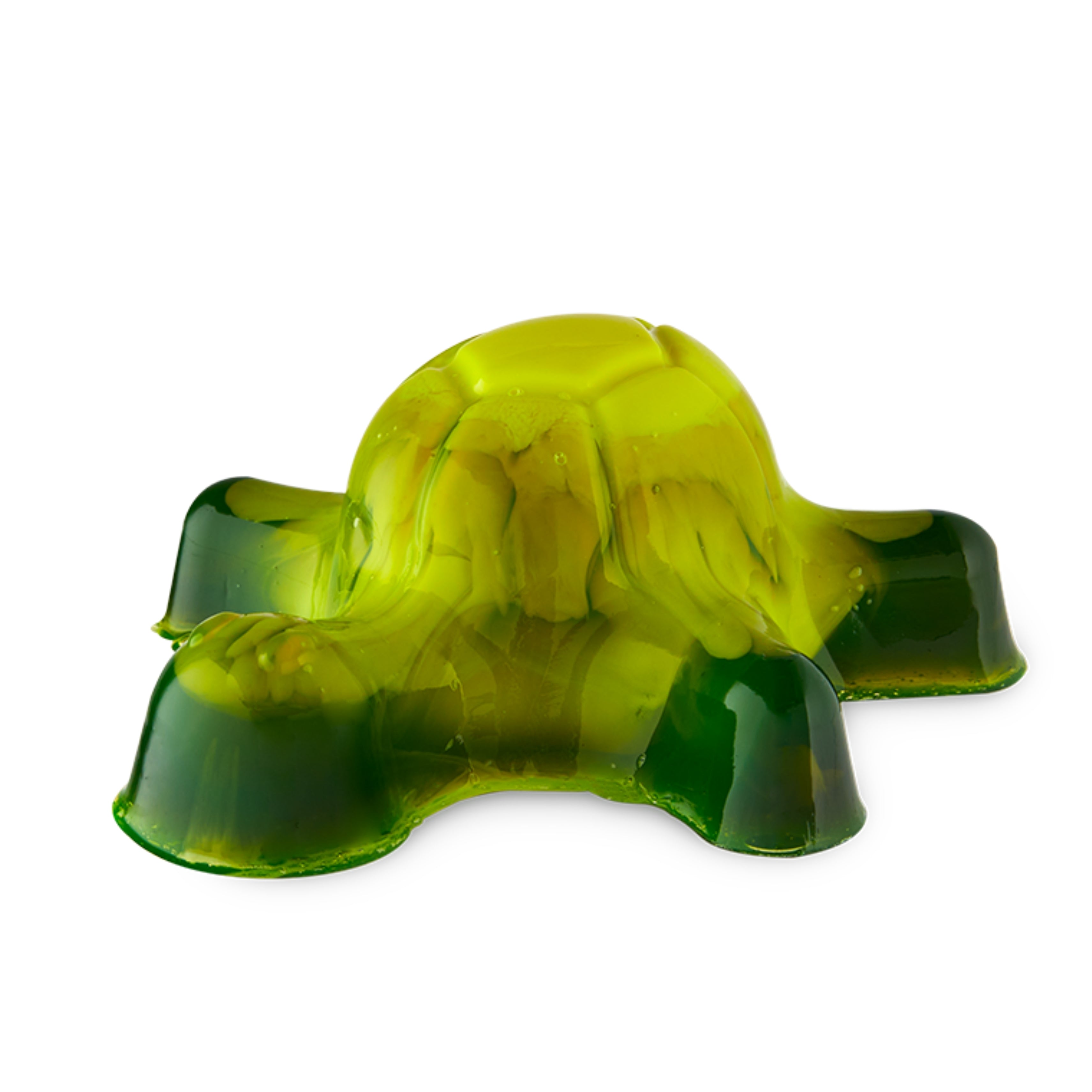 Easter Turtle