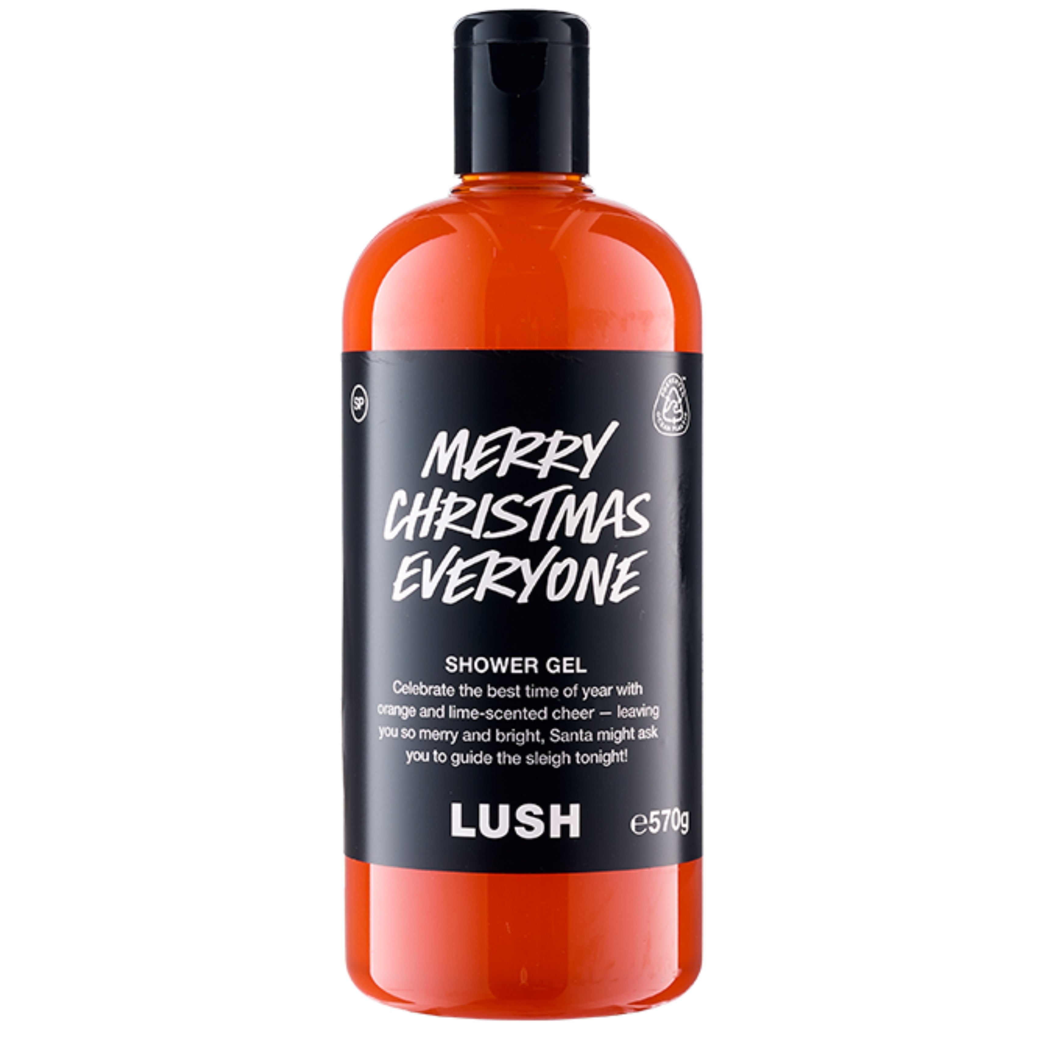 Merry Christmas Everyone