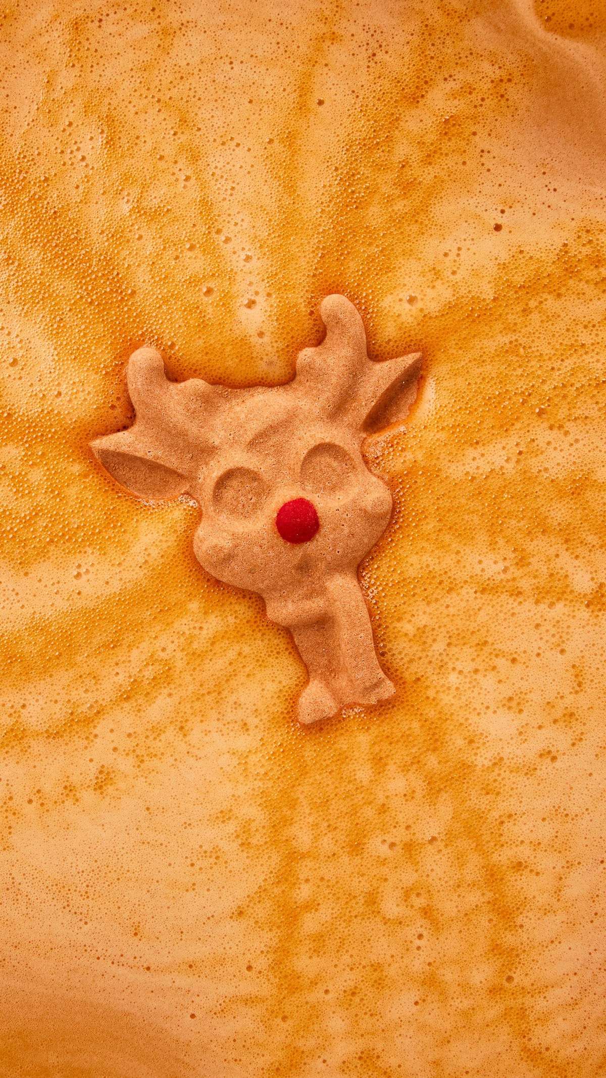 Reindeer