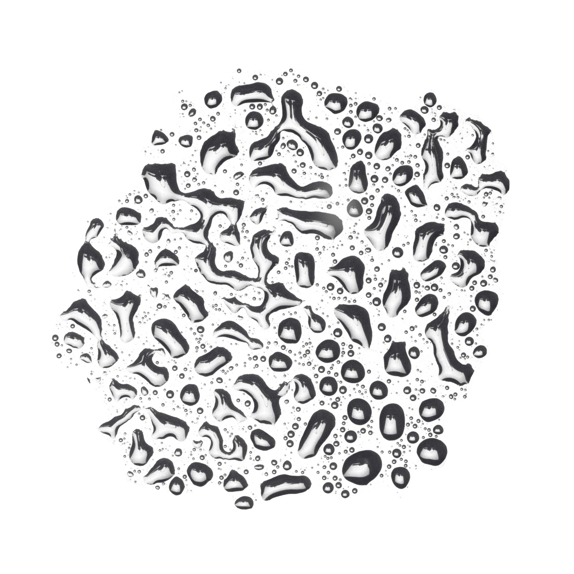 Sea Spray