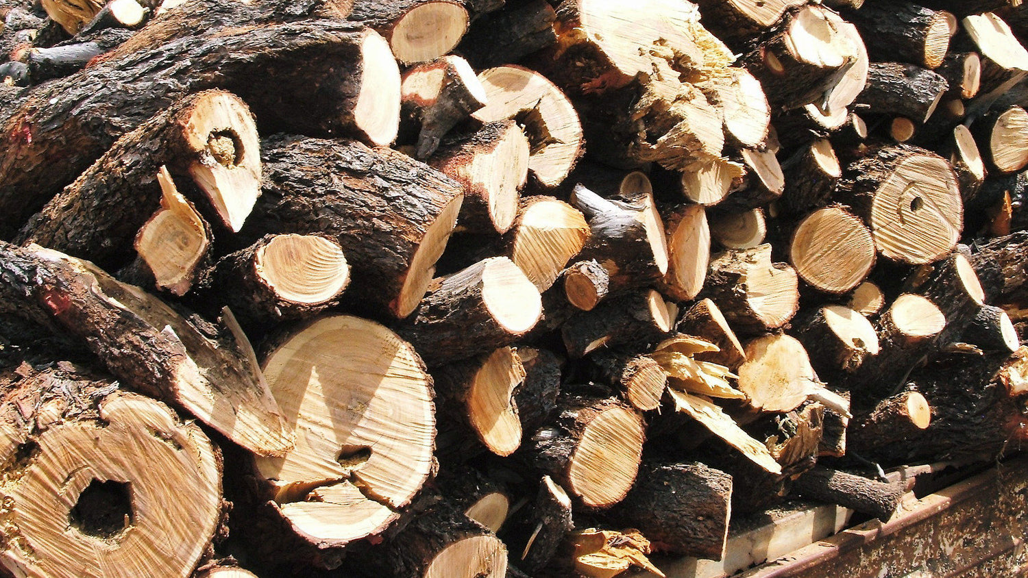 Sandalwood: not as sweet as it smells