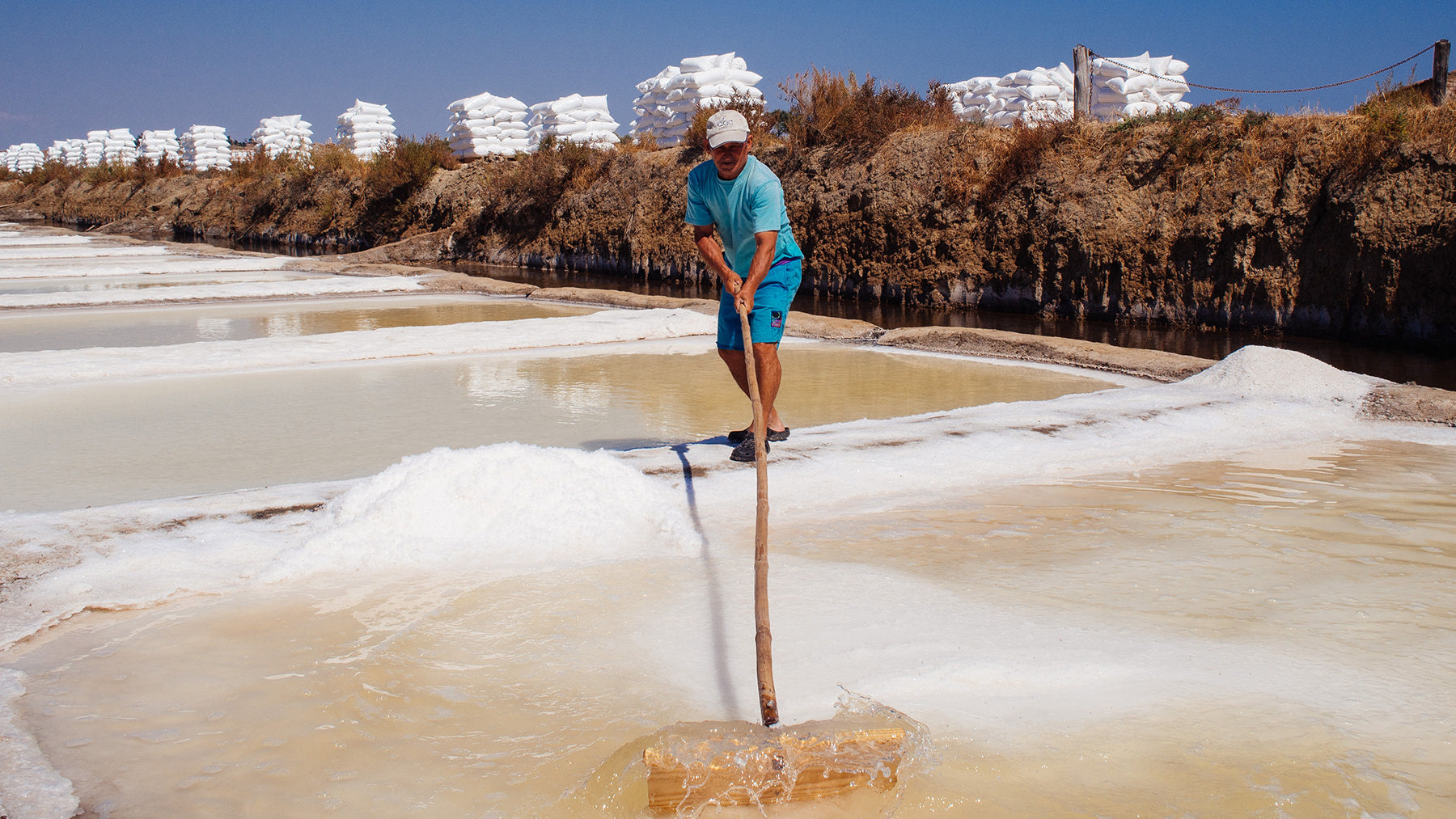 Worth its salt – Lush South Africa