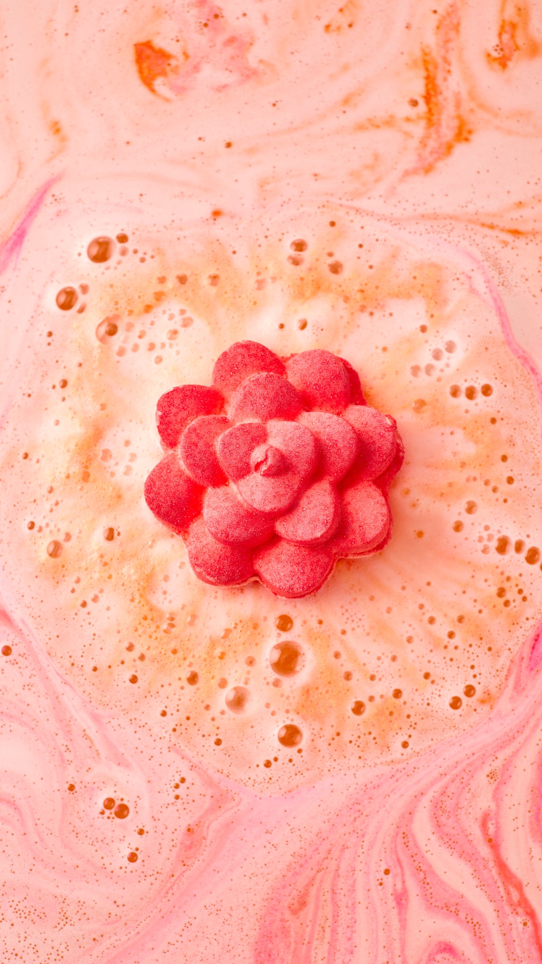 Comforter Rose