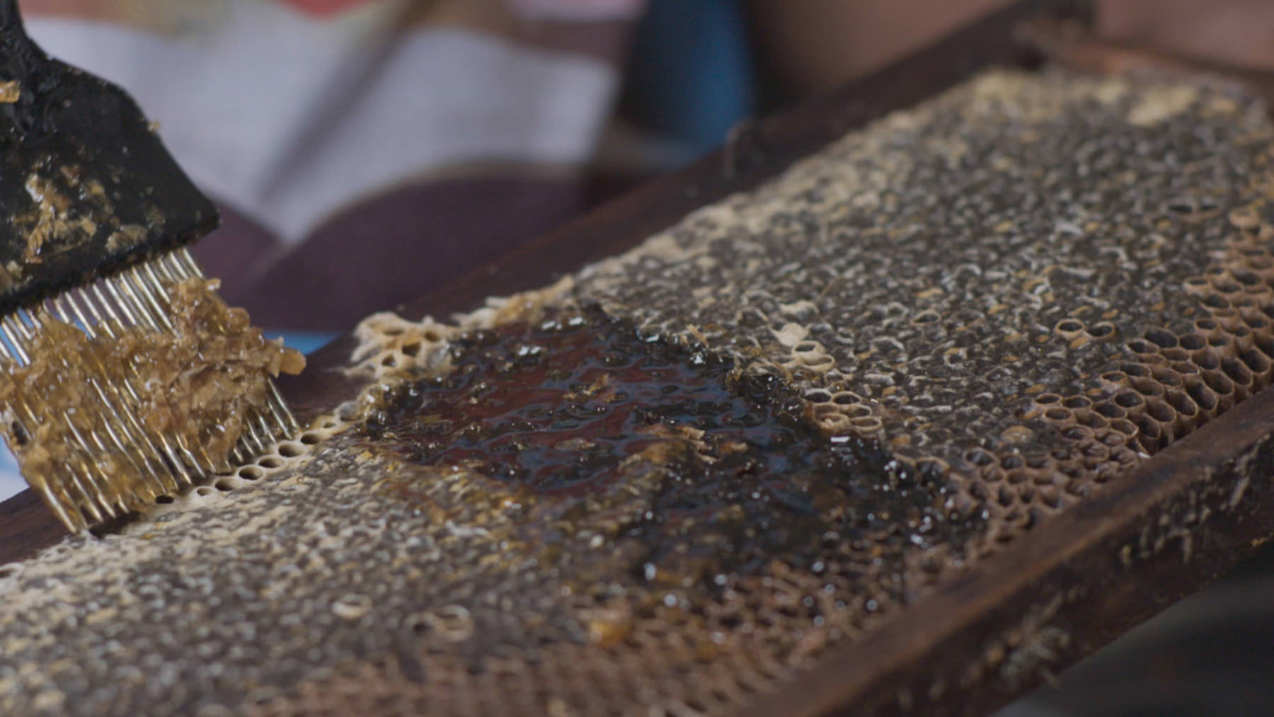 Natural, Aluminium-Free Deodorants & Dusting Powders – Lush South Africa