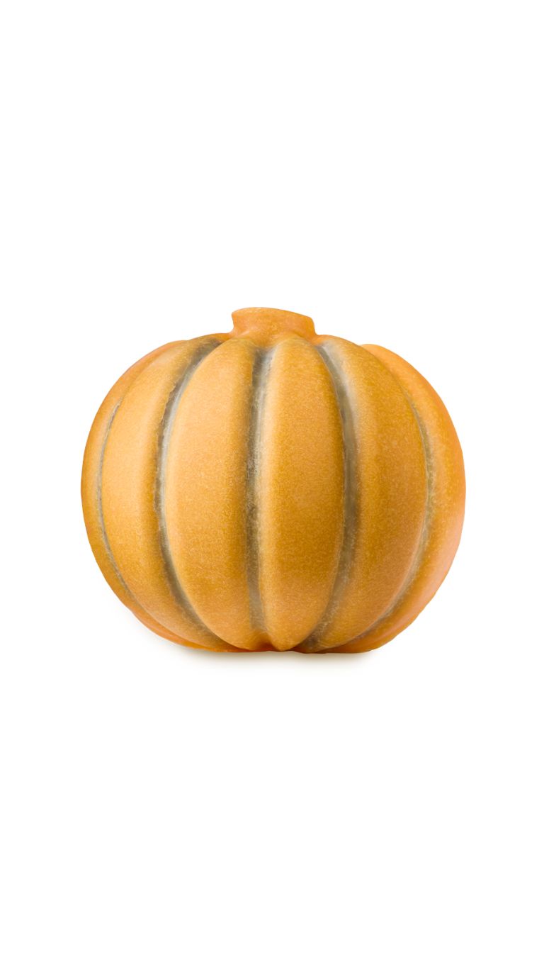 Pumpkin shaped scrubee