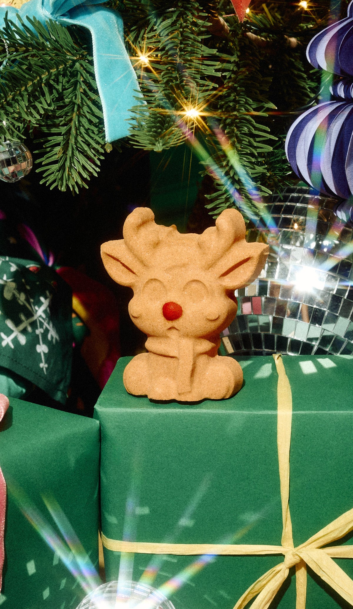 Reindeer