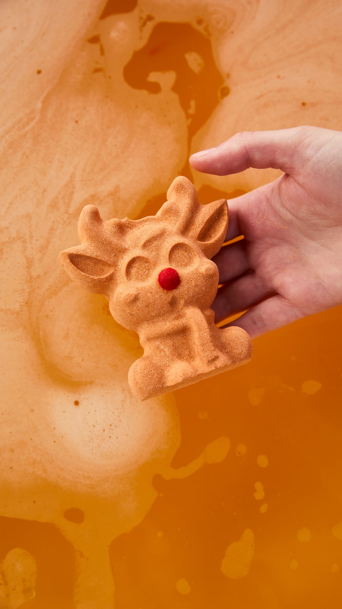 Reindeer