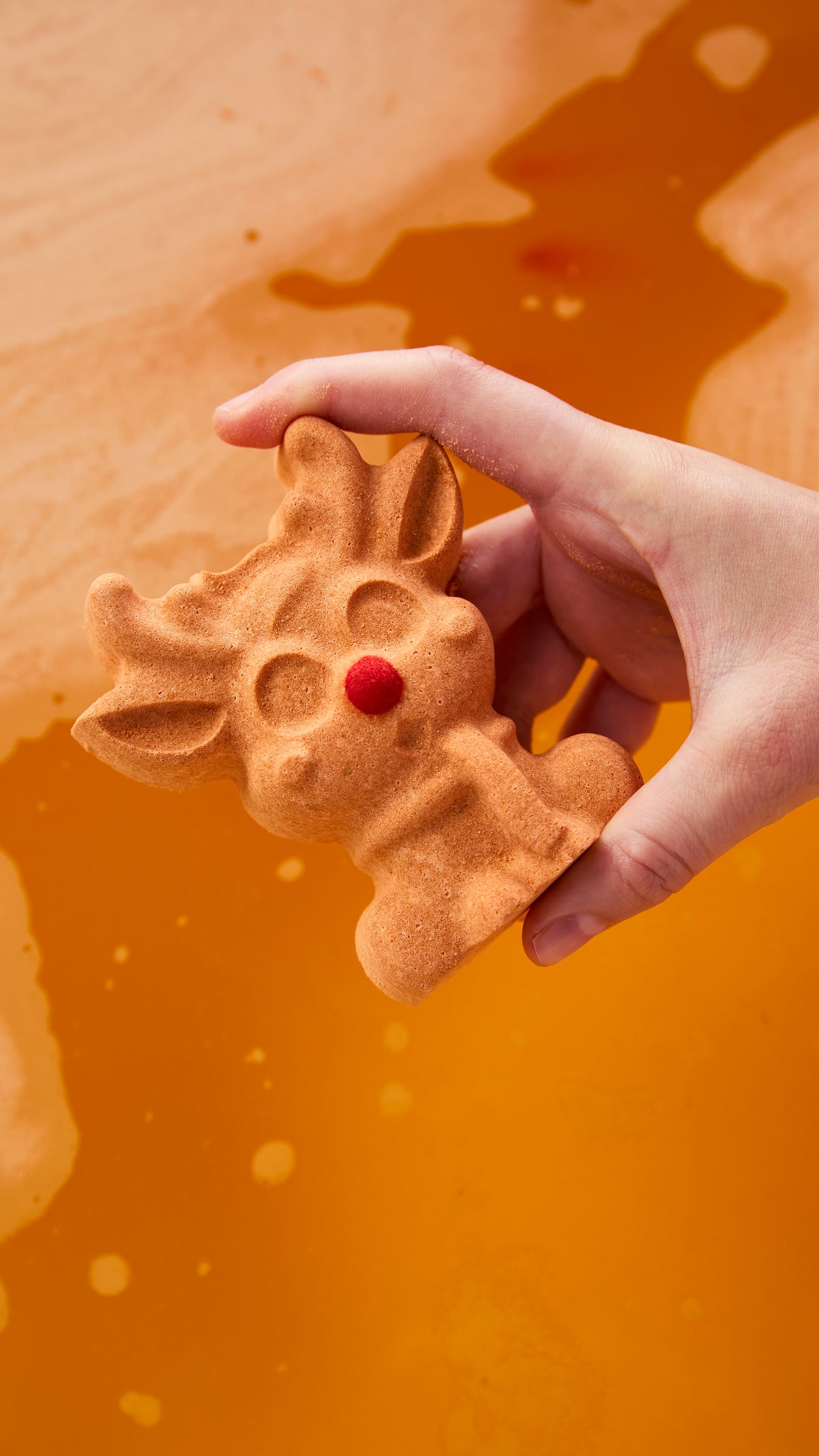 Reindeer