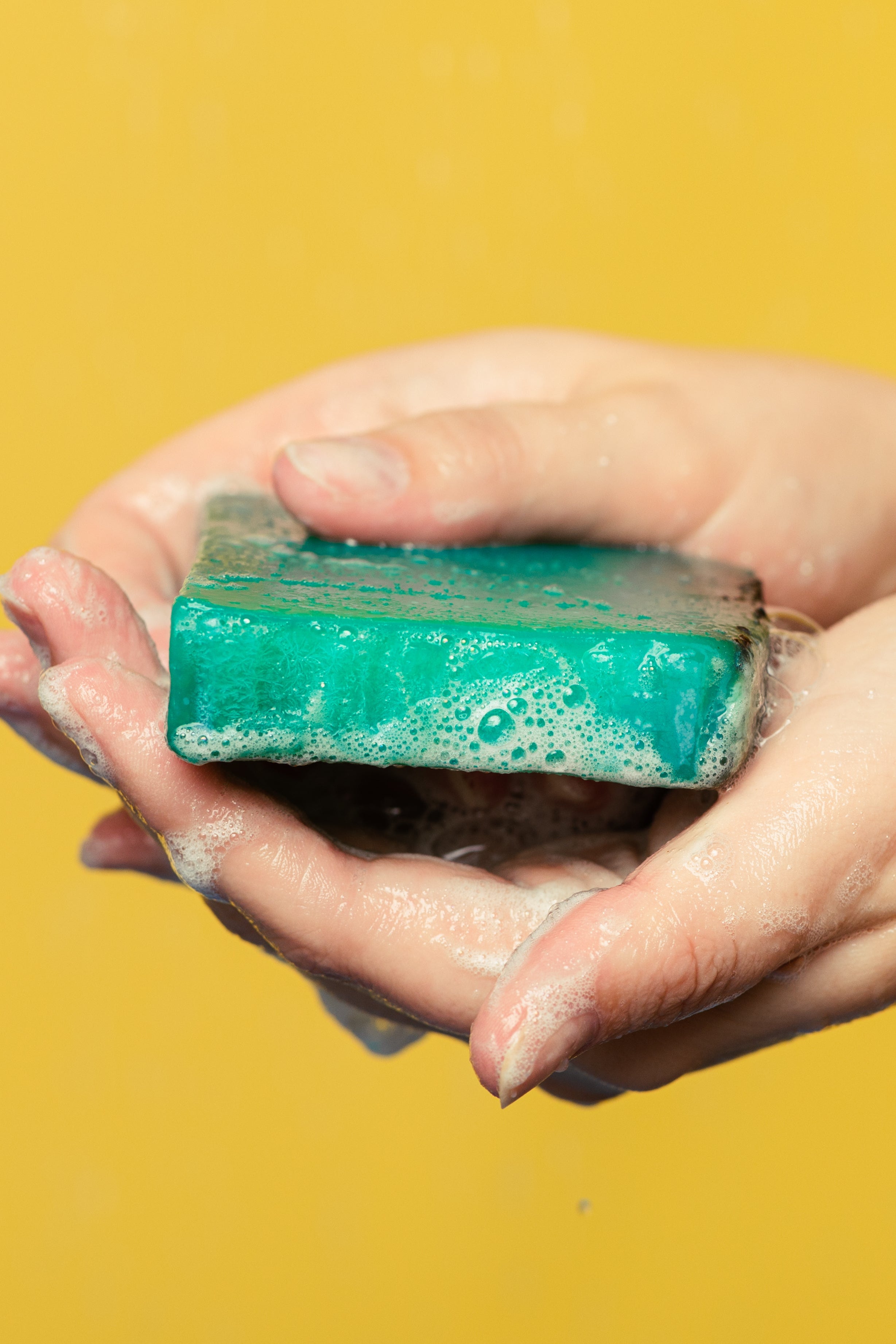 Sea Vegetable