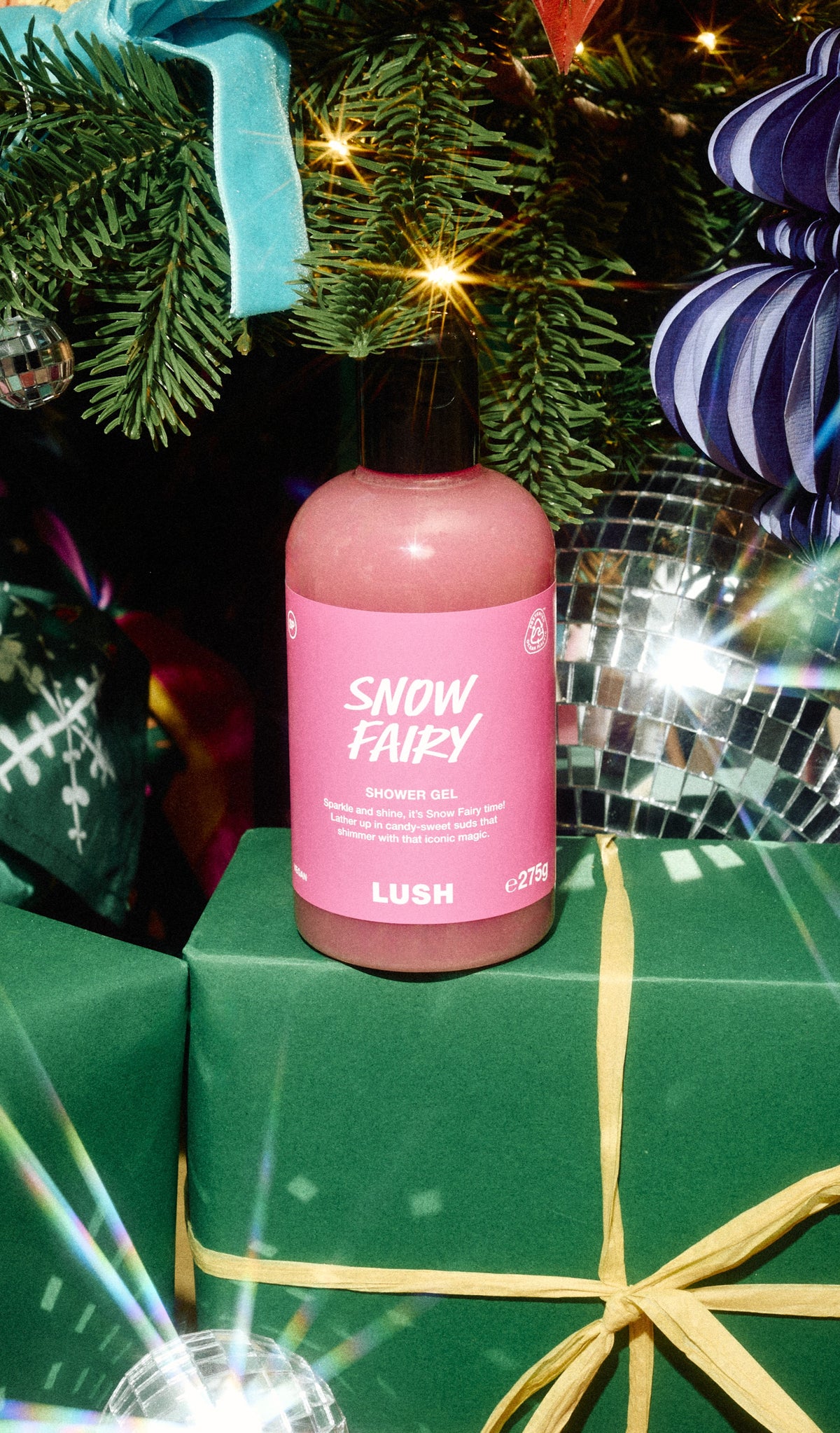 Snow Fairy