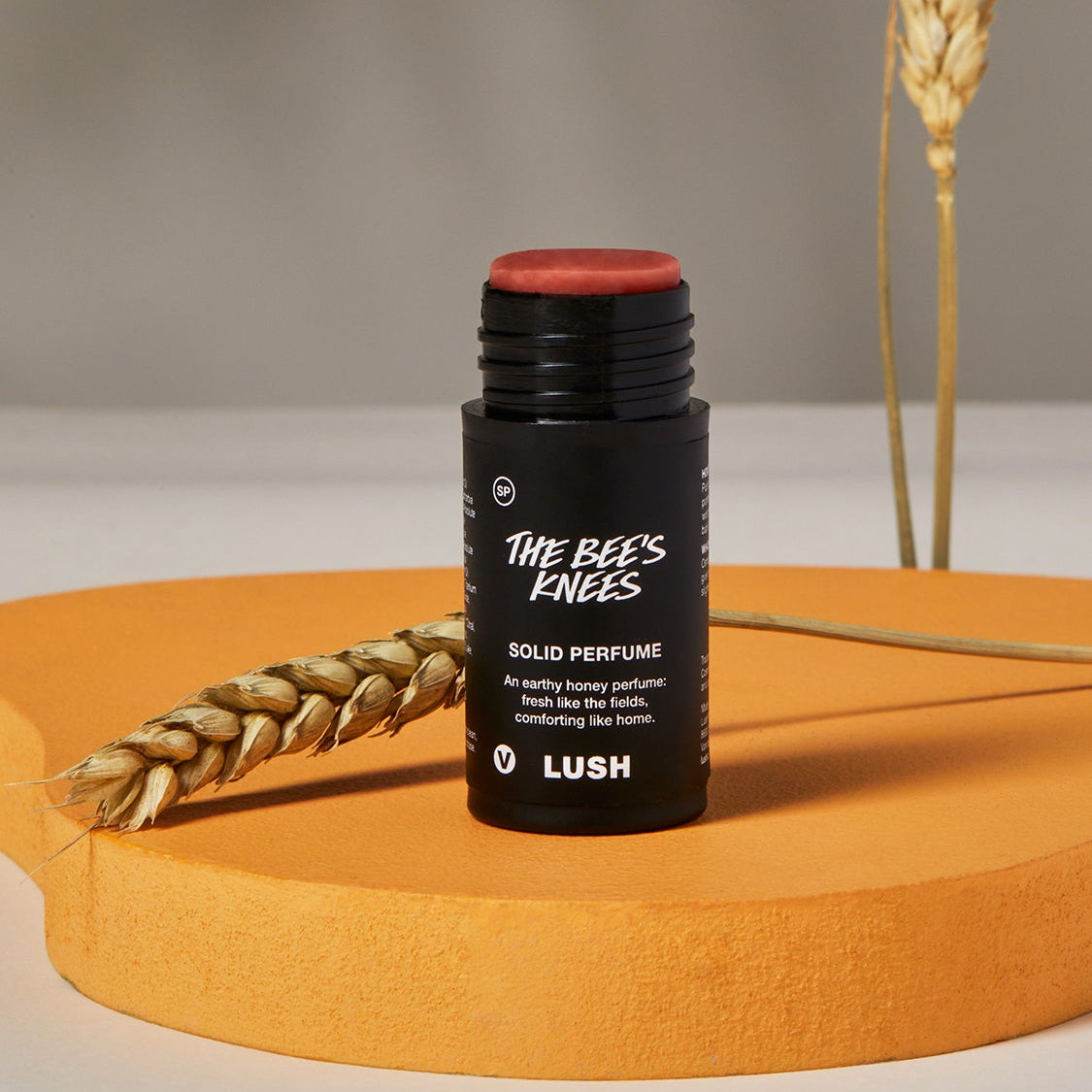 Solid Perfumes – Lush South Africa